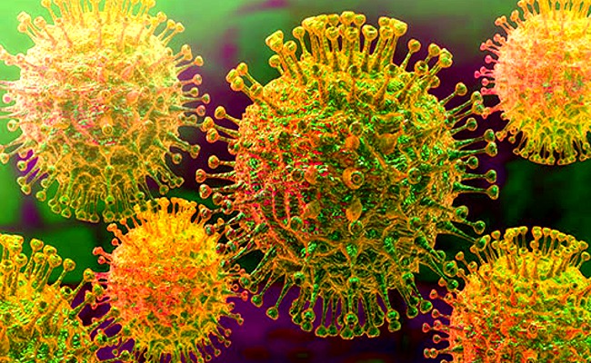 COVID-19: Coronavirus Facts You Need To Know! — 247Hitz.Com