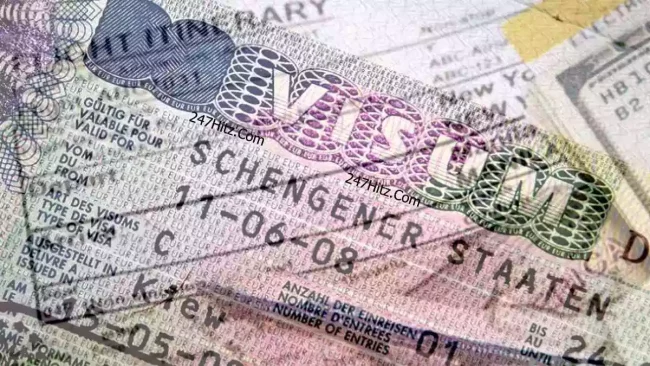 Dummy Ticket for Schengen Visa