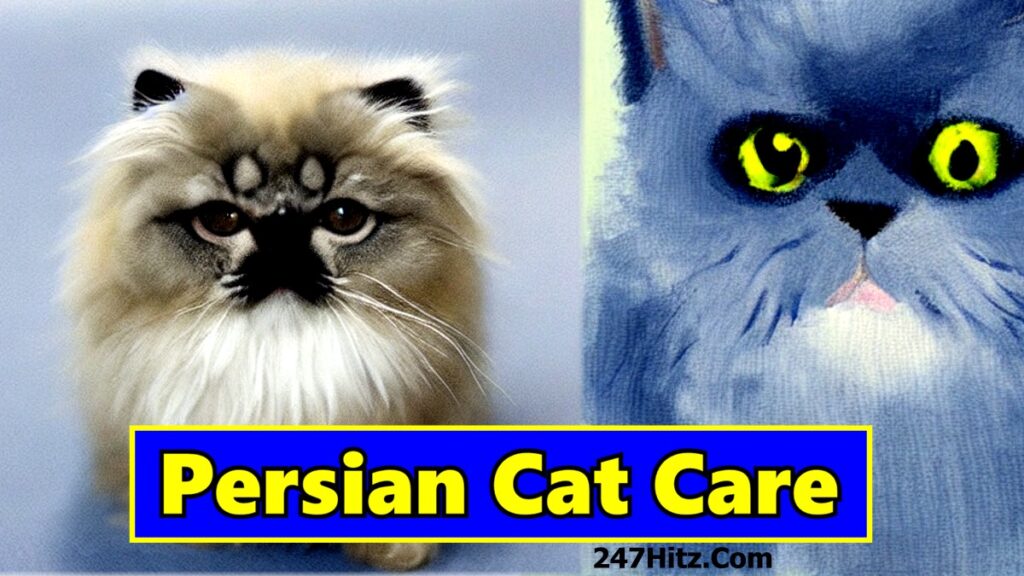 The Best Ways to Take Care of Your Persian Cat